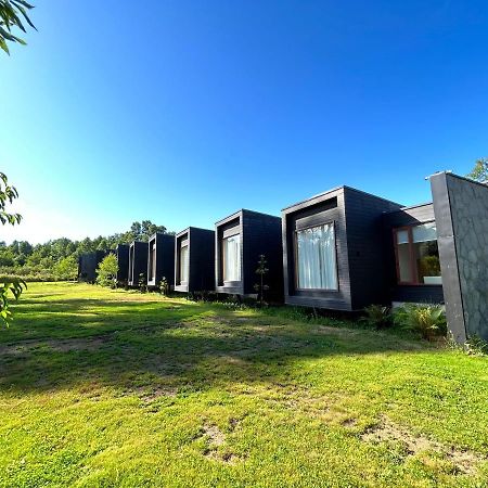 Mawuen Lodge Pucón Екстериор снимка
