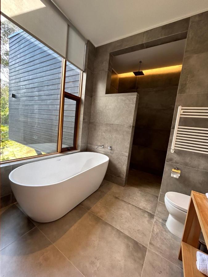 Mawuen Lodge Pucón Екстериор снимка
