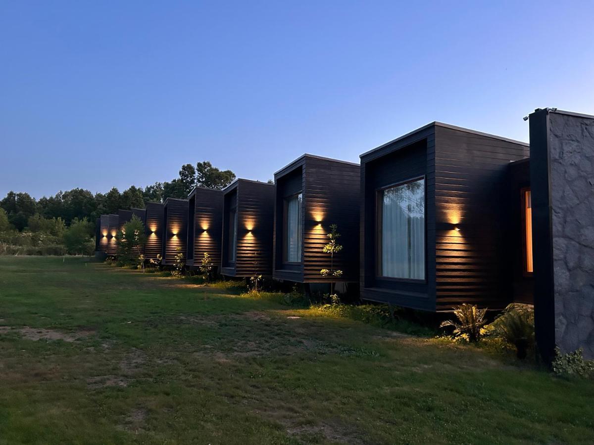 Mawuen Lodge Pucón Екстериор снимка